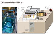 Thumbnail image of Commercial Irradiator
