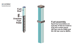 An illustration diagram of a Fuel Assembly with a cutaway illustration showing the various components which make up the fuel assembly (Fuel Rod; Uranium Fuel Pellet), with the words: Spent fuel assemblies, are typically 14 feet long and contain nearly 200 fuel rods for PWRs and 80-100 fuel rods for BWRs, with the title: Fuel Assembly