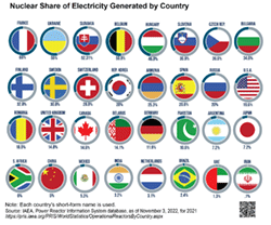Illustration showing 32 small circles.  Within each circle is a country's flag, and below the circle/flag image is the nuclear share of electricity generated by that country in descending order: France 69%; Ukraine 55%; Slovakia 52.31%; Bulgium 50.8%; Hungary 46.8%; Slovenia 36.9%; Czech Rep. 36.6%; Bulgaria 34.6%; Finland 32.8%; Sweden 30.8%%; Switzerland 28.8%; Rep. Korea 28%; Armenia 25.3%; Spain 20.8%; USA 19.6%; Romania 18.5%; United Kingdom 14.8%; Canada 14.6%; Belarus 14.1%; Germany 11.9%; Pakistan 10.6%; Argentina 7.2%; Japan 7.2%; S. Africa 6%; China 5%; Mexico 5.3%; India 3.2%; Netherlands 3.1%; Brazil 2.4%; UAE 1.3%; Iran .1%.  Centered above the image is the title: Nuclear Share of Electricity Generated by Country